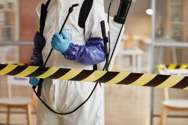 Professional Blood Cleanup technician working in Laporte, CO